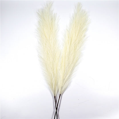 Natural Simulation Reed Grass Pampas