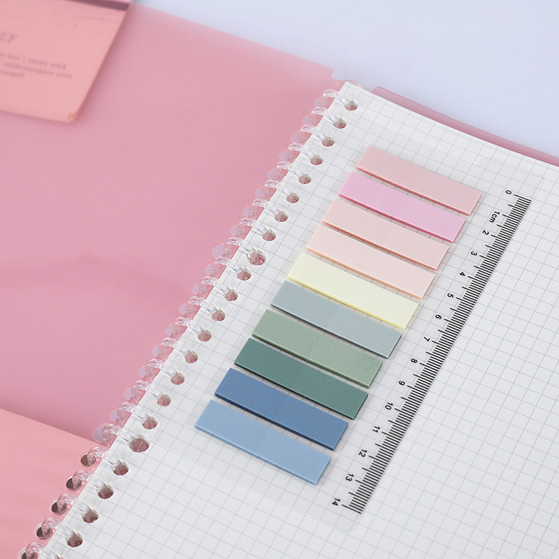 Removable Transparent Binder Notebook